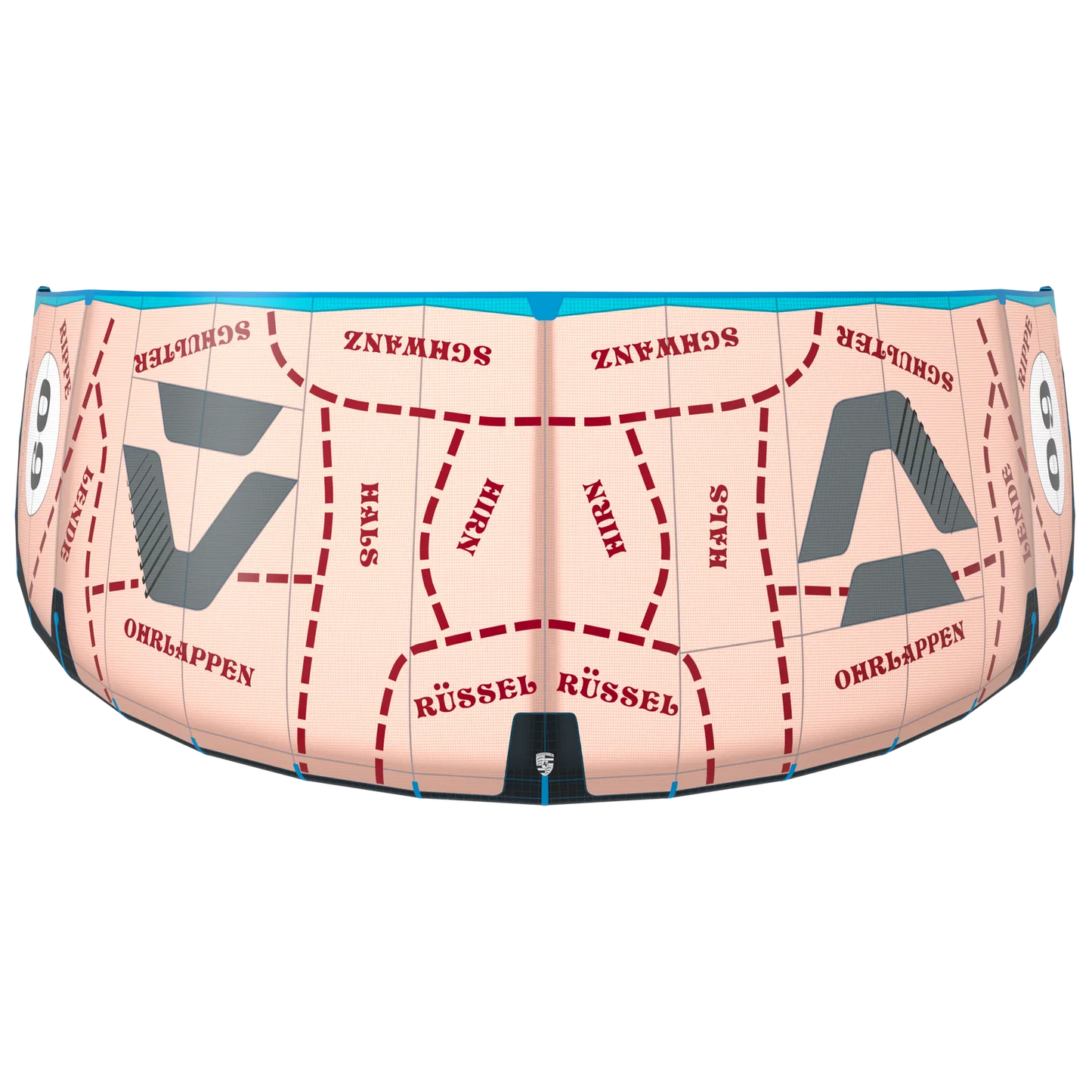 DUOTONE EVO SLS PINK PIG LIMITED EDITION 2023